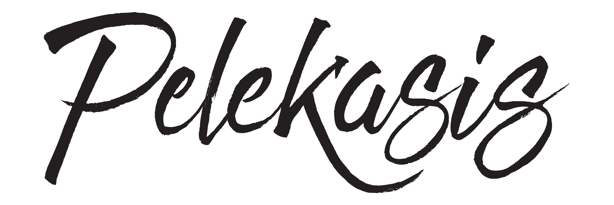 Pelekasis Boston banner