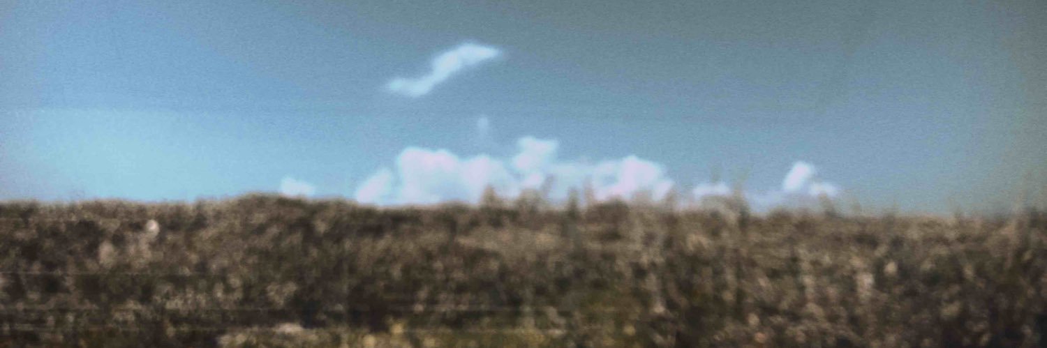 bellevinten's profile banner image