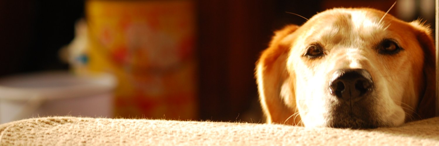 tricorecords's profile banner image