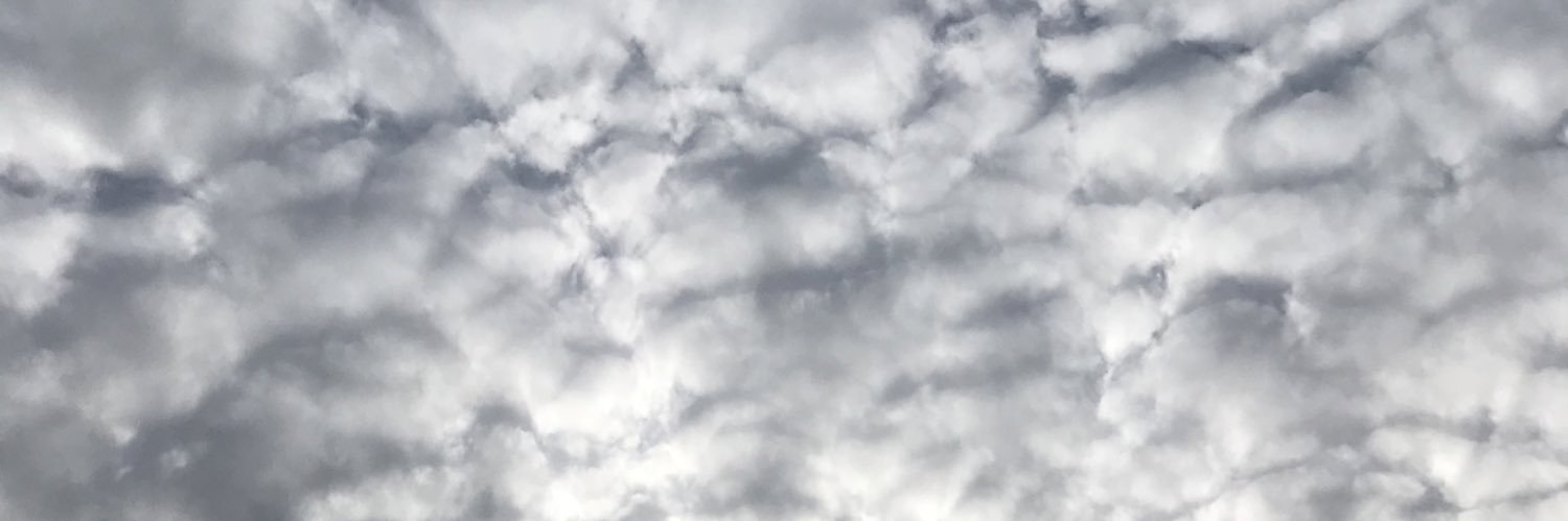 awarla's profile banner image