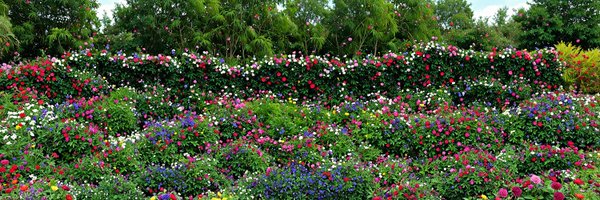 sovos15 Profile Banner