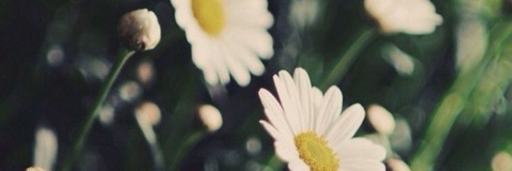 riskaaayu's profile banner image