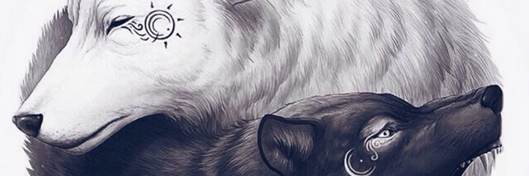 M9_CKo's profile banner image