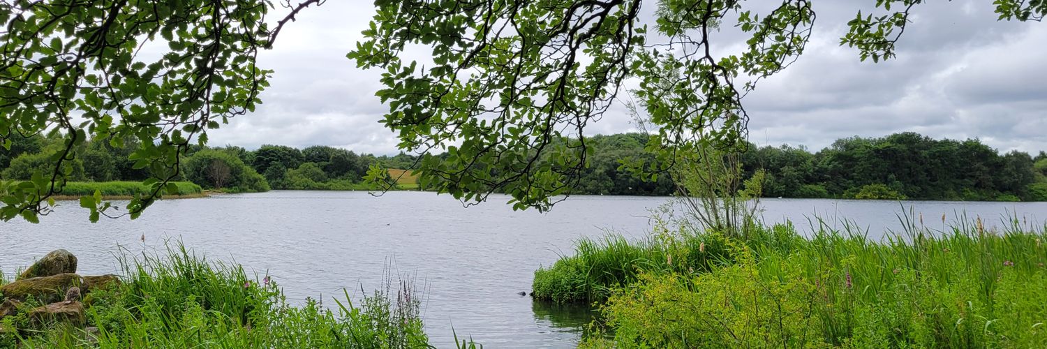 Ulvy ♿️🏳️‍⚧️ banner