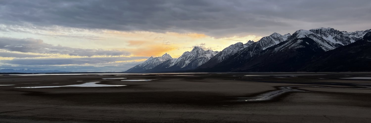 Connor Willingham banner