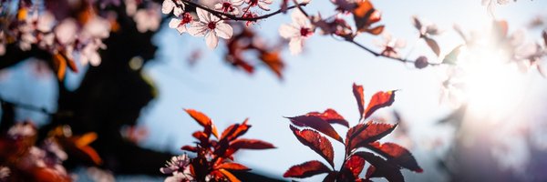 TheAfter Profile Banner