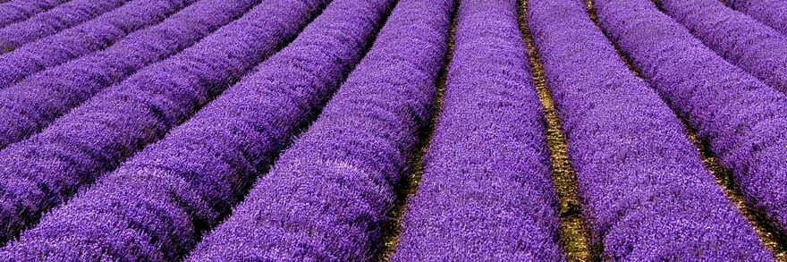 Better Person banner