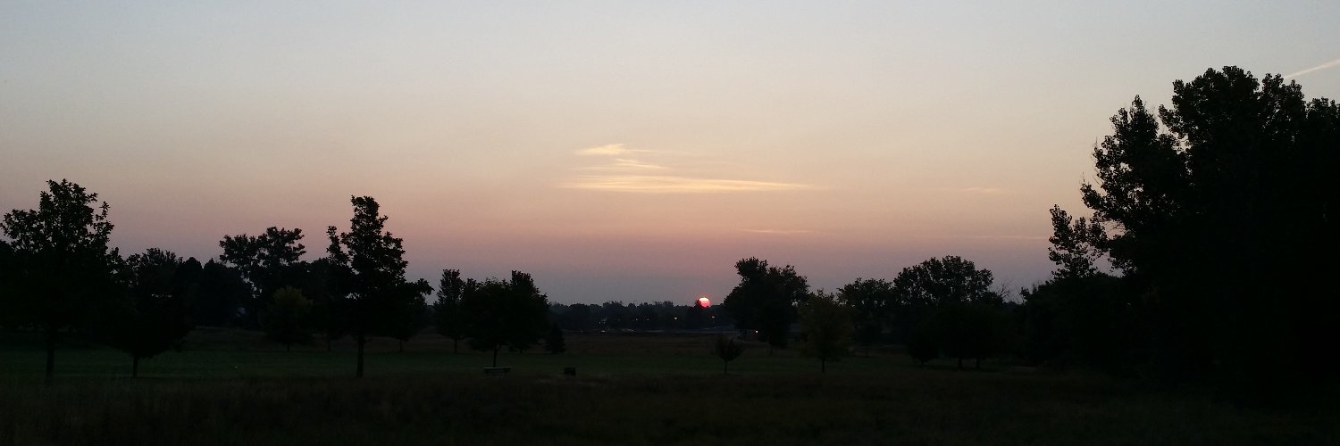 Nathan Lowell banner