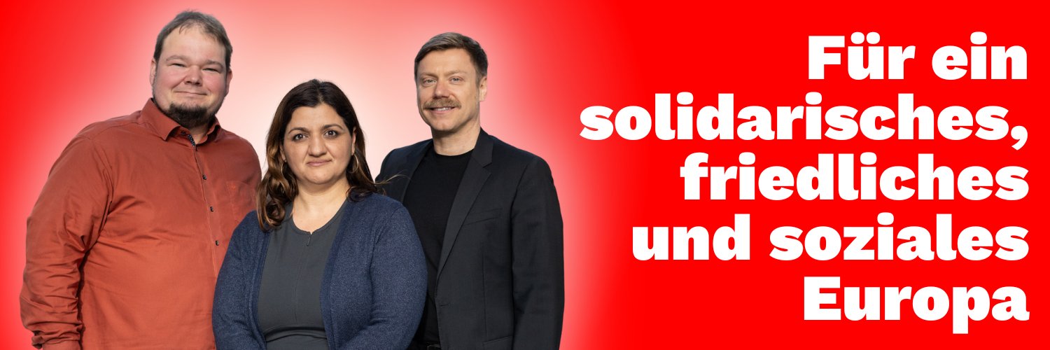 Die Linke im Europaparlament banner