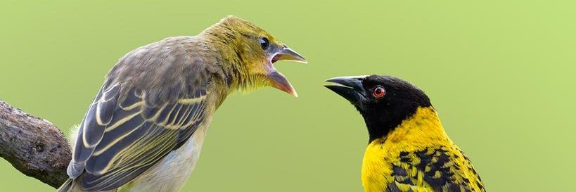 Joshu_K1's profile banner image