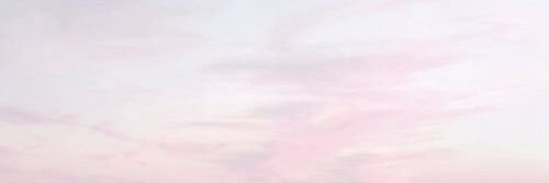 xMegWood's profile banner image
