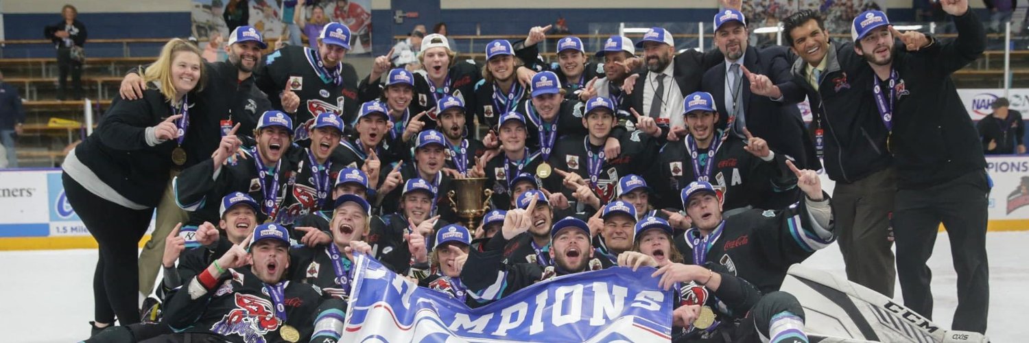 Chetan Chaudhari banner