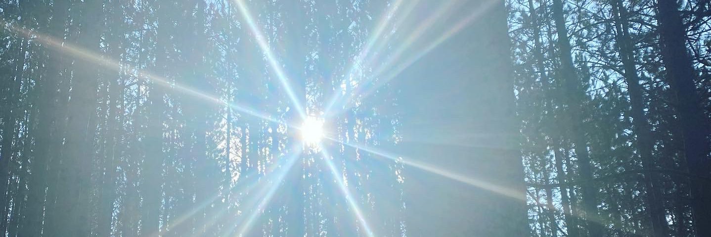 WillNashOnAir's profile banner image