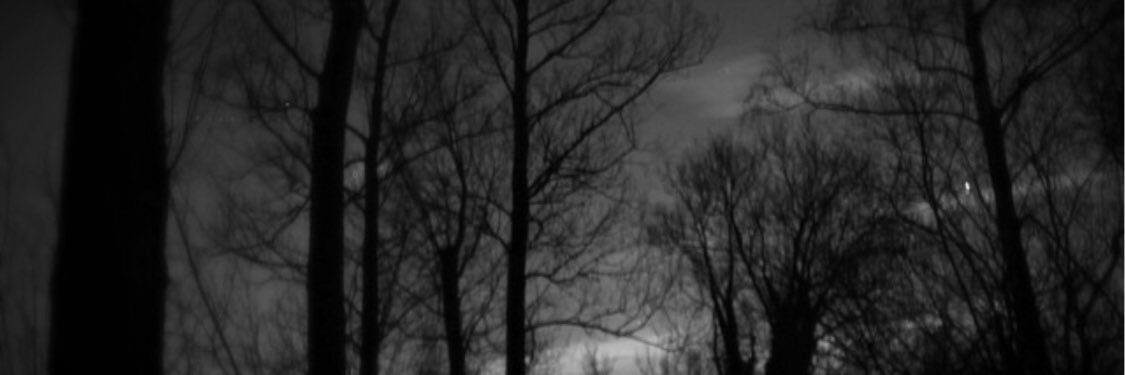 GeorgeBaker1's profile banner image