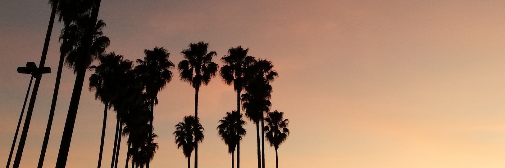 MARCODLCA's profile banner image