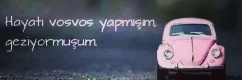 pelinyegt's profile banner image