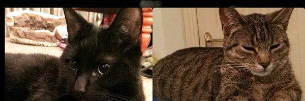 DummyBM Profile Banner