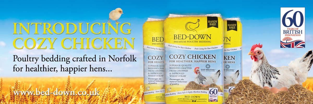 beddownpoultry's profile banner image