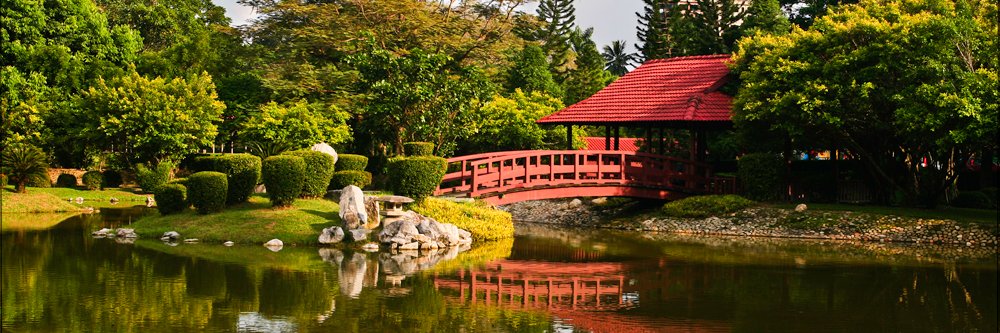 Bartosz Adamiak banner