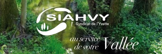 siahvy's profile banner image