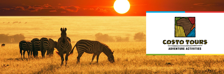 CostoTours's profile banner image