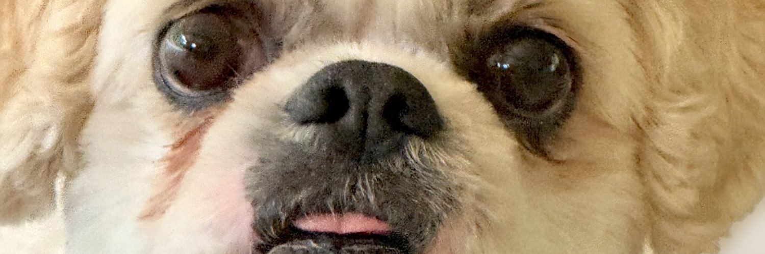 francoeponto's profile banner image