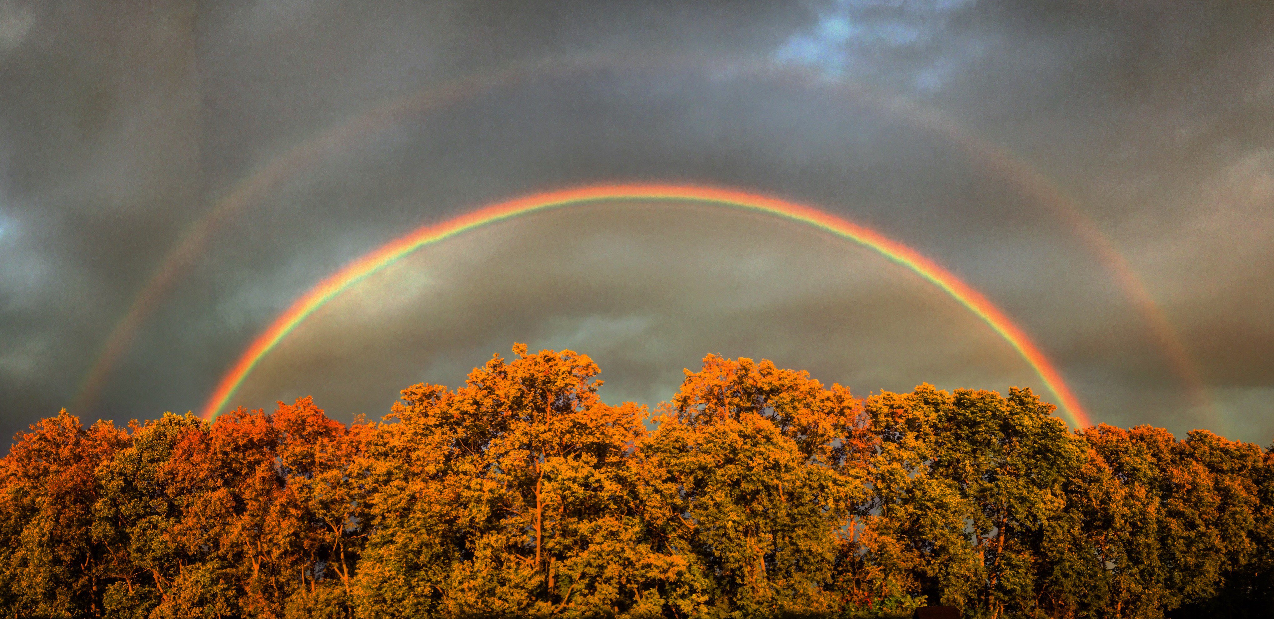 Jessica Schuster banner