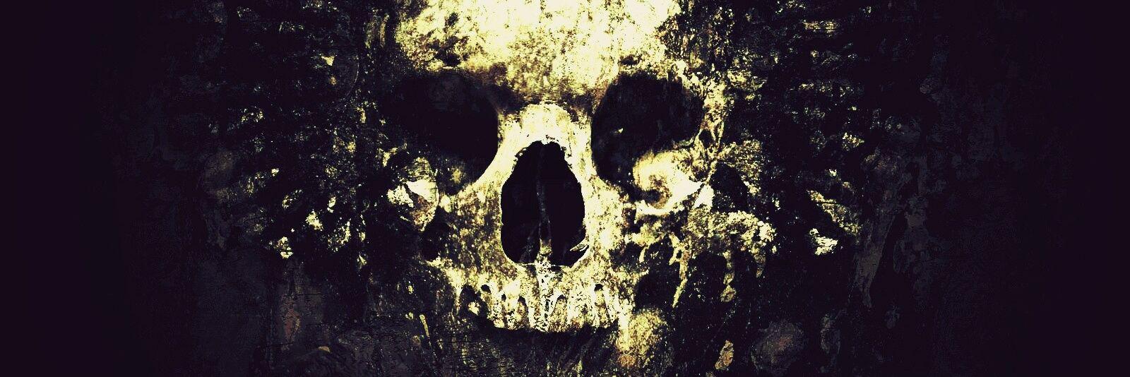 SkullsMalone's profile banner image