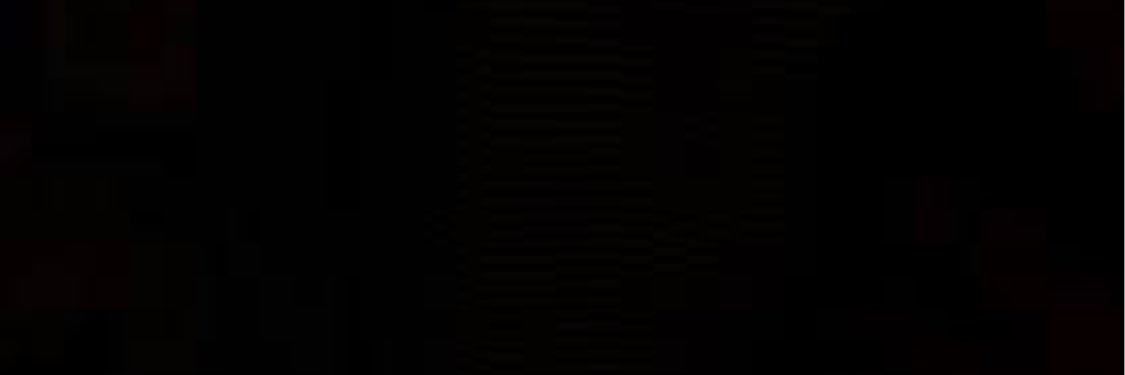 Selma_Mariee's profile banner image