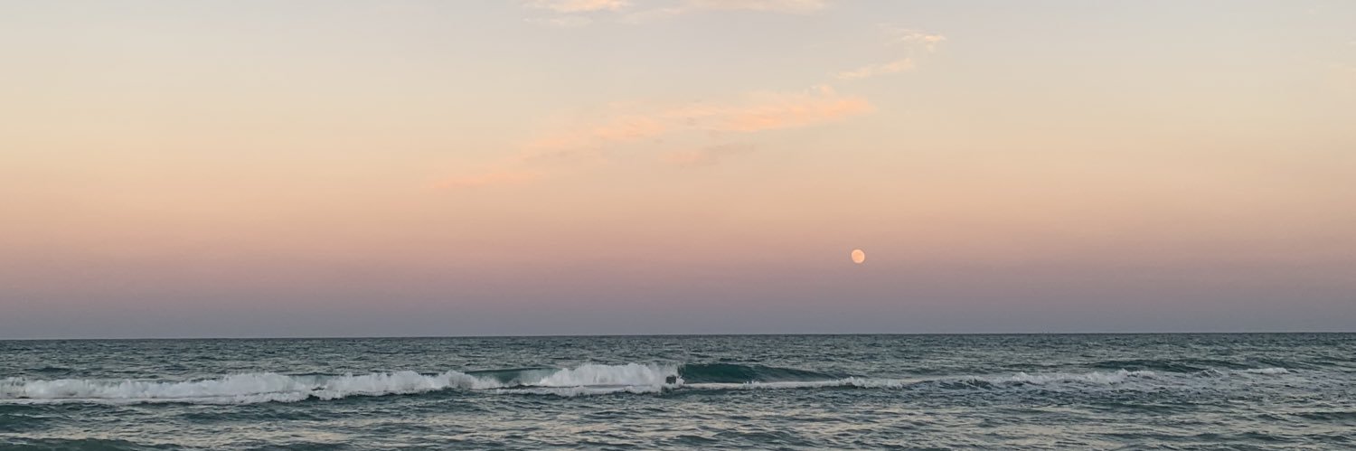 LilianPonce7's profile banner image