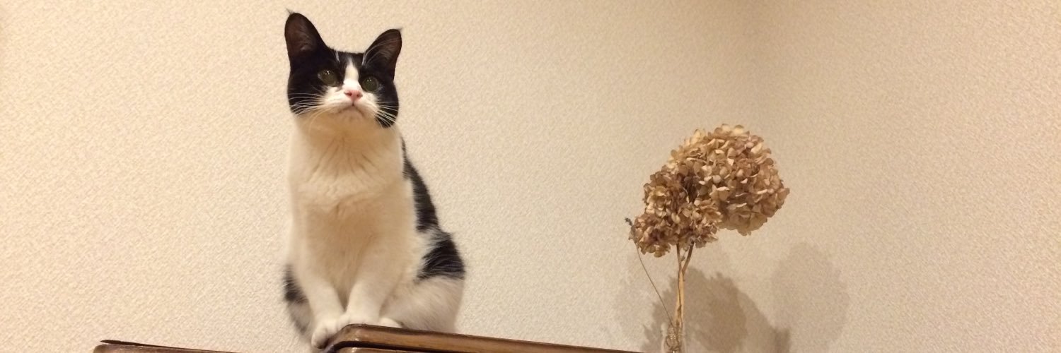maromekkochan's profile banner image