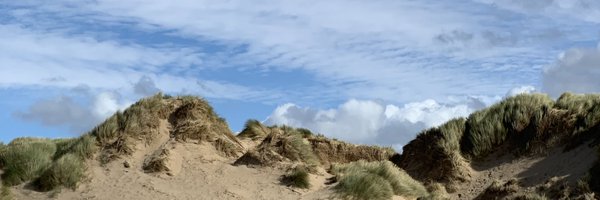 alexburketv Profile Banner