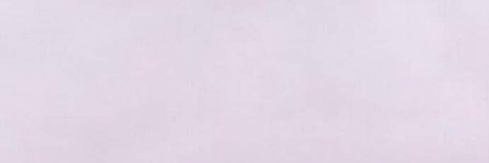 Ariankabutera's profile banner image