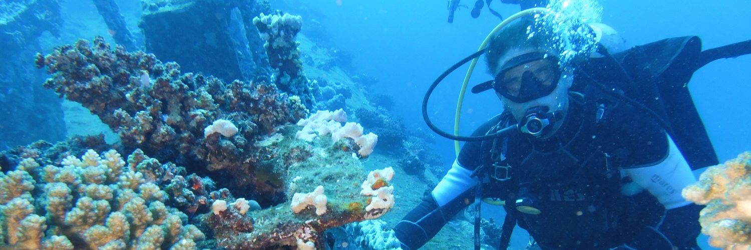 Maurizio Sbogar banner