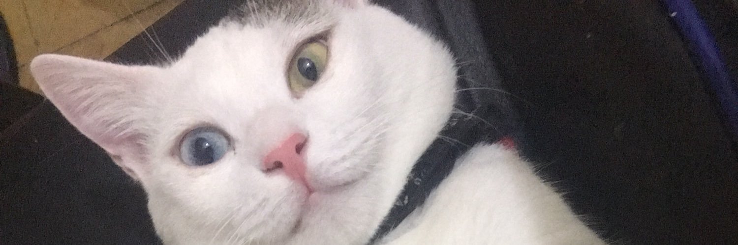 MahmutYildrm's profile banner image
