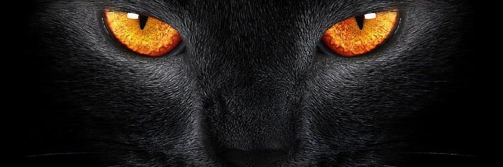 Ando_IE's profile banner image