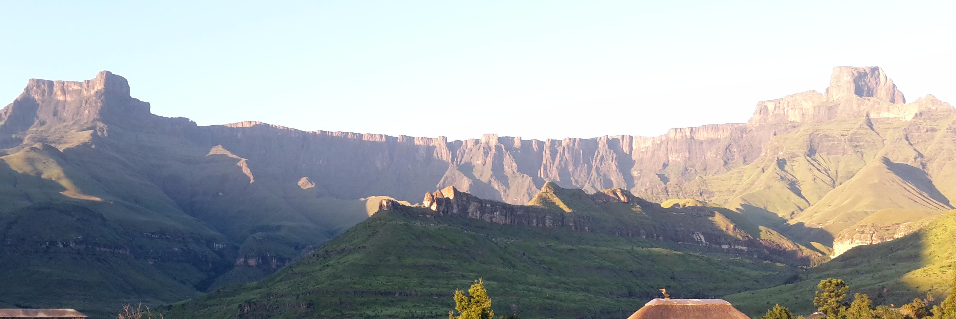 Dave a Gooner banner