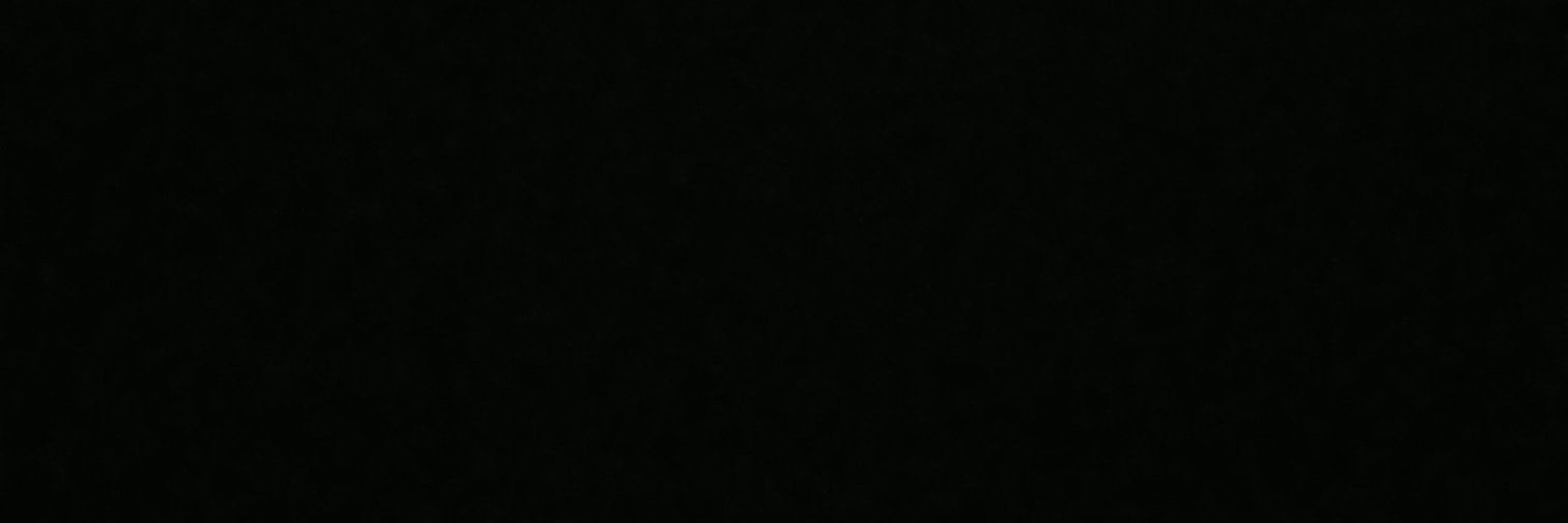 Payyuca's profile banner image
