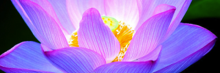 Tanner88881's profile banner image
