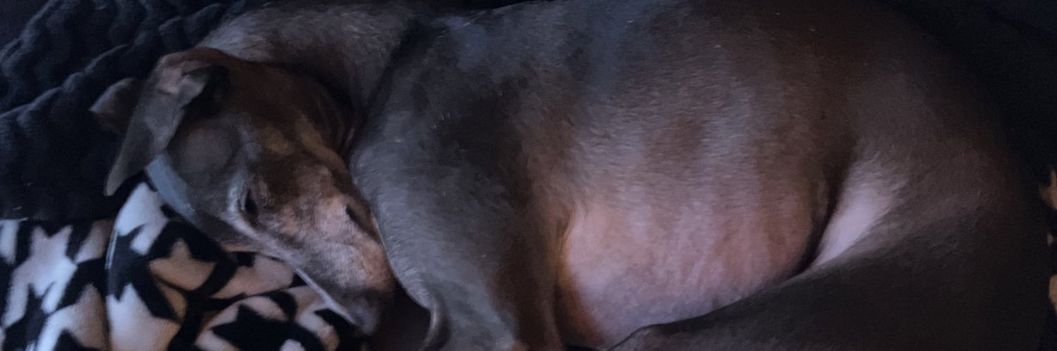 Zackizard's profile banner image