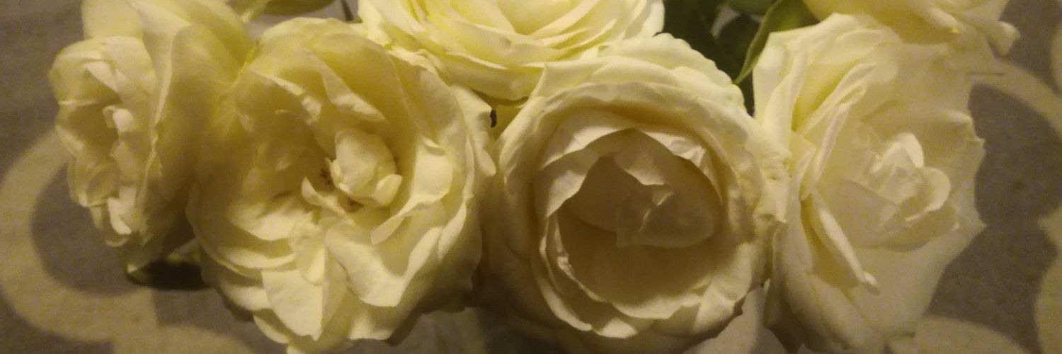 hyperlady99's profile banner image