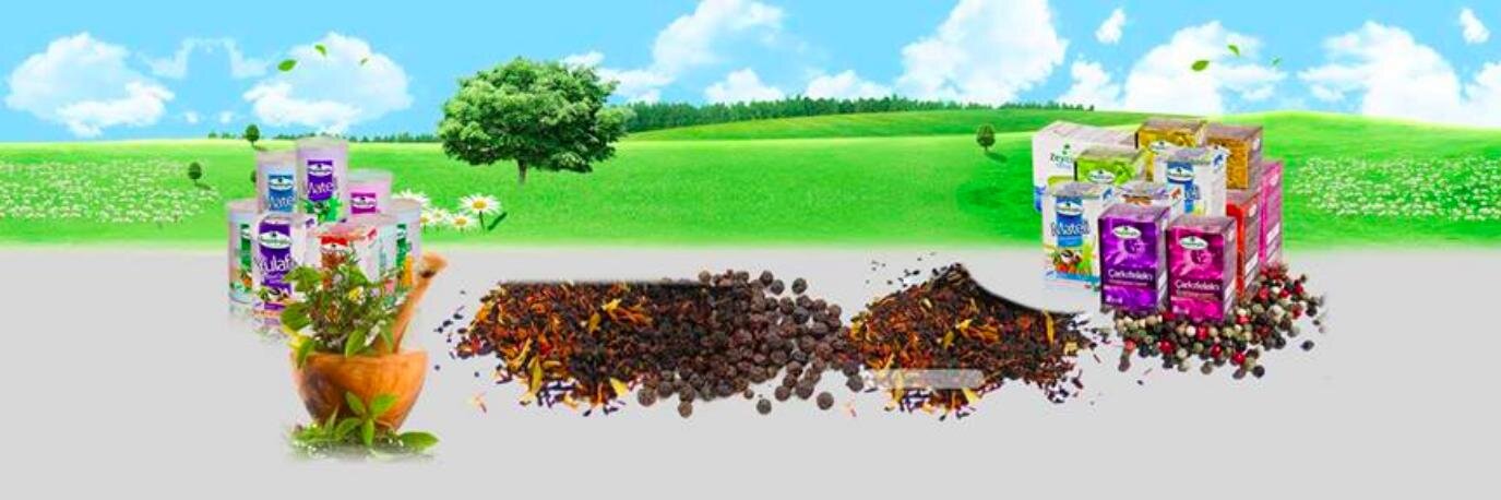 Devasifa's profile banner image