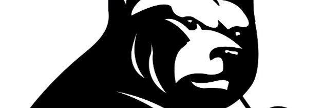 RiverViewHighSchool banner