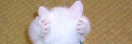 Ju_Juff's profile banner image