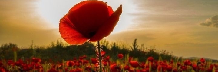akn_77's profile banner image