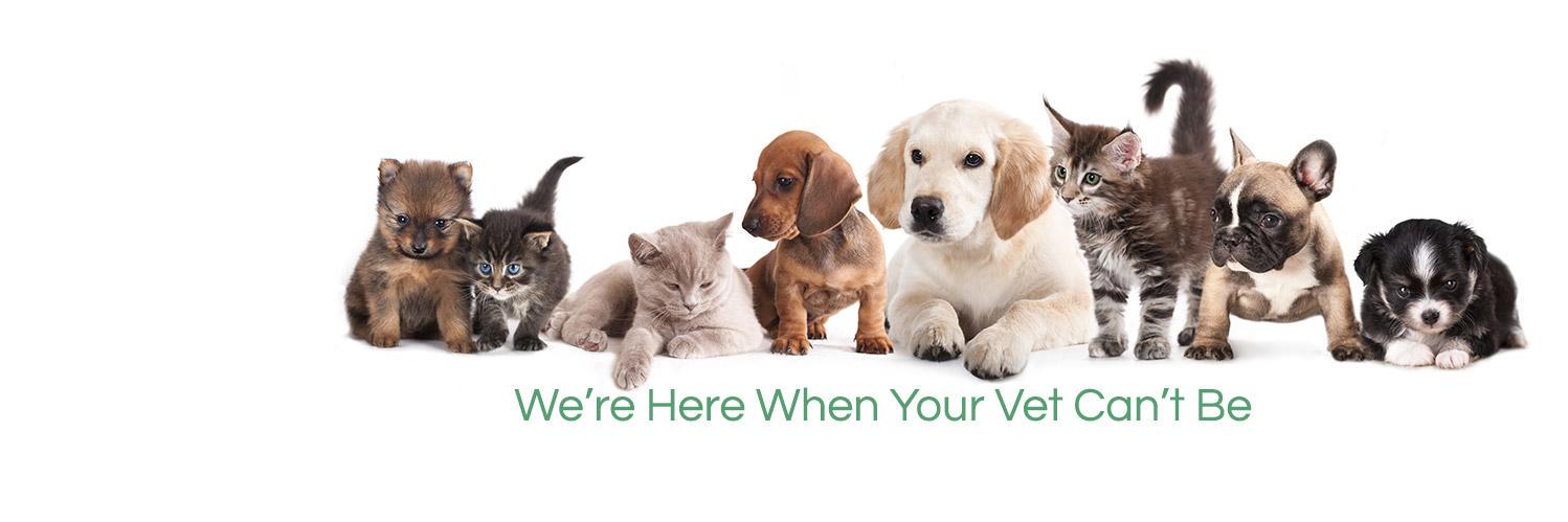 VetsPlusMore's profile banner image
