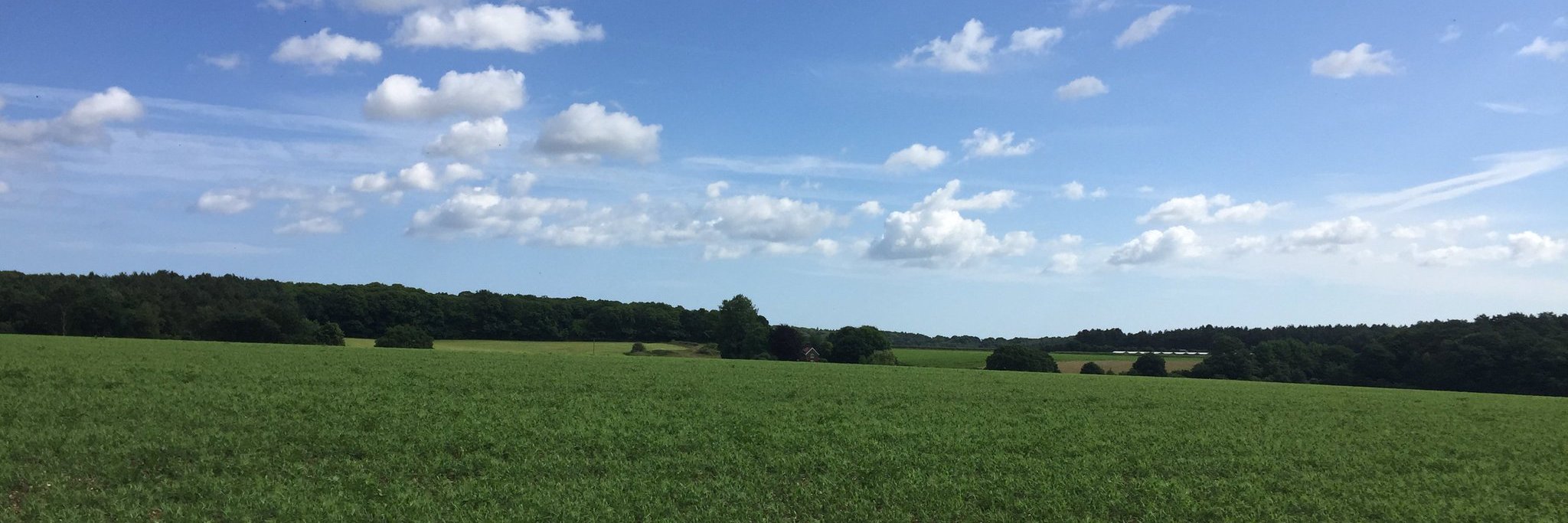 CJCLee (Saxthorpe) Ltd banner