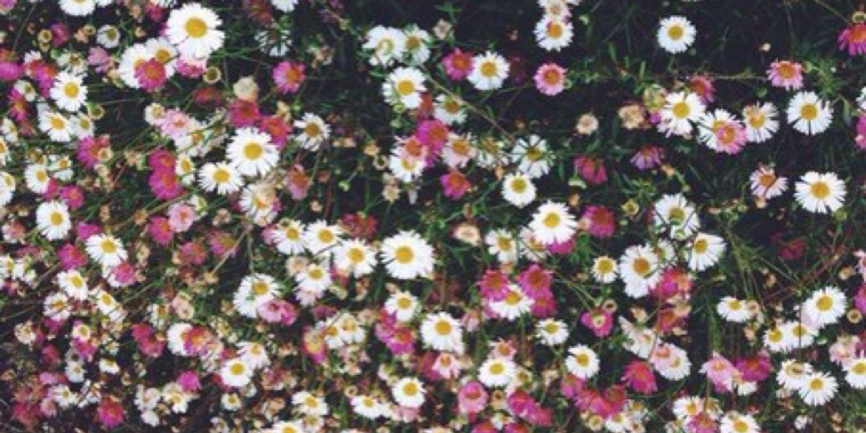 AnnBritish's profile banner image
