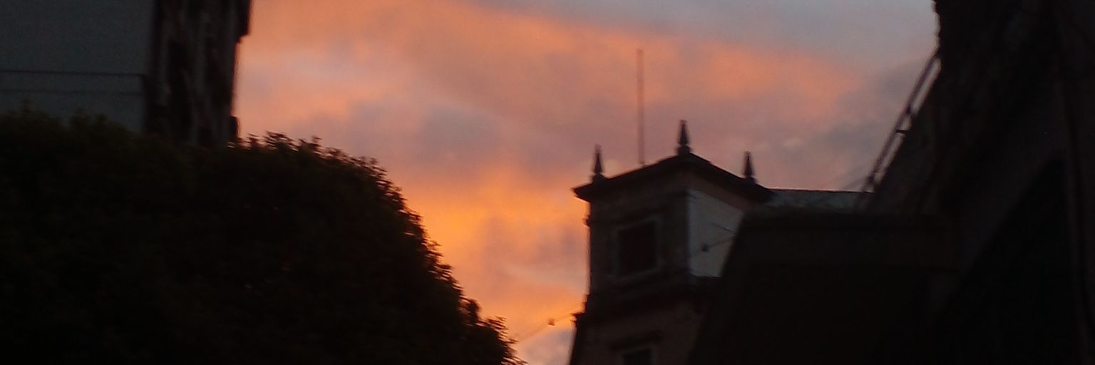 FlorGonzalez_13's profile banner image