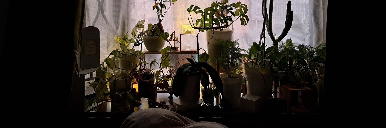 mukaddescloglu's profile banner image
